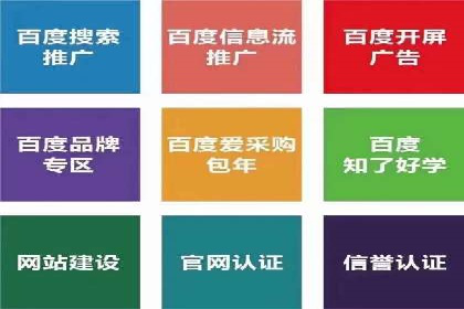 电商平台信息流广告的创意与执行案例分析